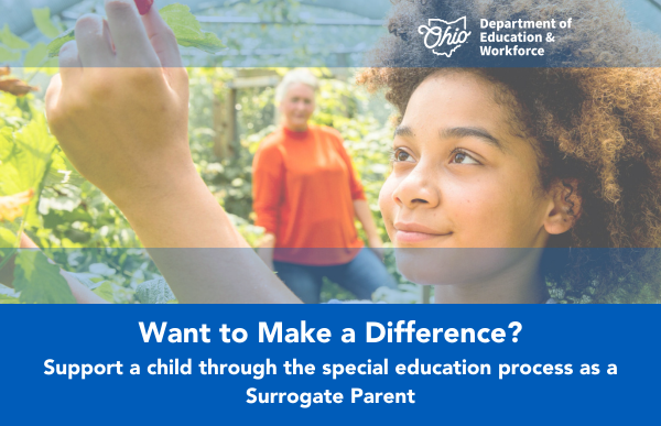 Surrogate Parent Training