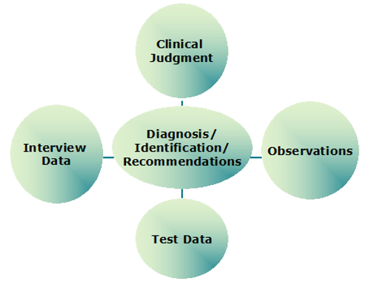 5 connected circles that say: Clinical Judgment, Interview Data, Diagnosis/Identification/Recommendations, Observations, Test Data